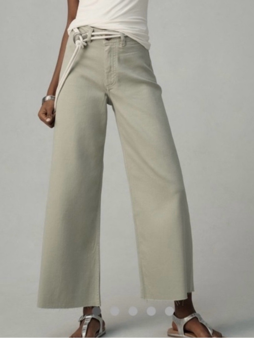 Maeve Anthropologie Ettie High-Rise Crop Wide-Leg Jeans – Beige – Size 27